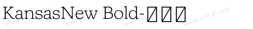 KansasNew Bold字体转换
